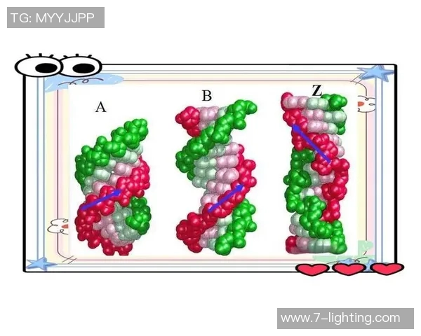 武汉乒乓球队技术解析：从基础训练到竞技策略的全面探讨
